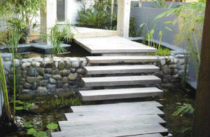 First Impressions - Water Features